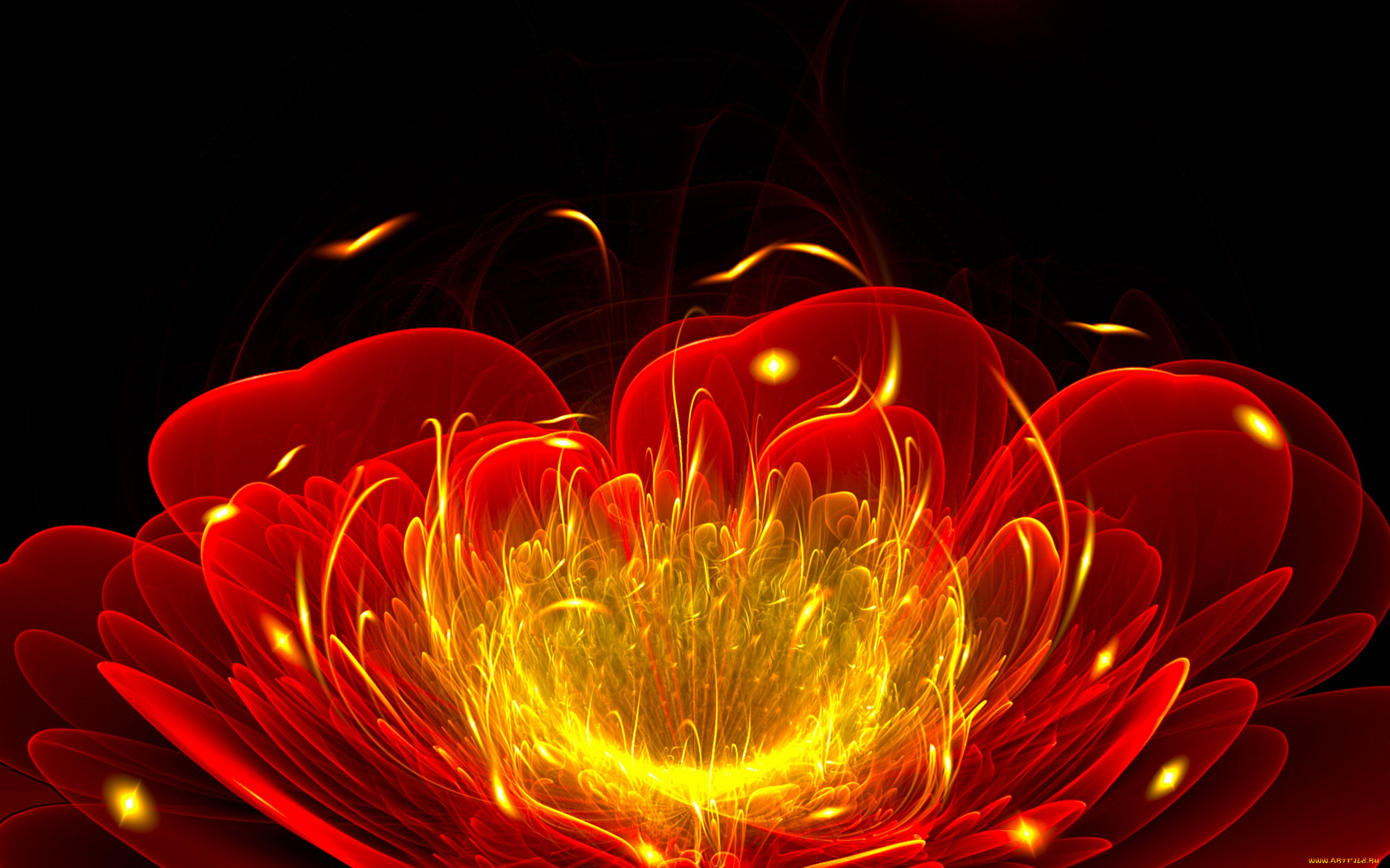 3, , flowers, , 